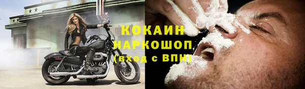 стафф Алзамай