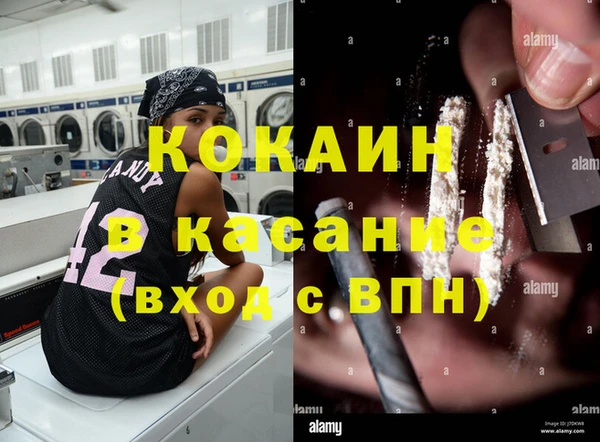 стафф Алзамай