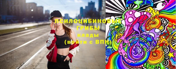 ешки Алексин