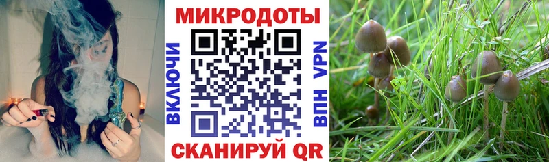 Галлюциногенные грибы мухоморы купить цена Солигалич